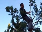 The Perils Of Swinging From The Tree Tops
