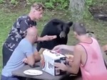 These Idiots Are Really Picnicking With A Bear

