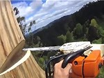 Tree Lopper Drops It Precisely Where He Wants It
