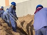 Trench Digging Teamwork
