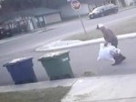UPS Guy Mistakes A Homeless For Homeowner
