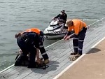 Water Police Rescue A Roo But The Roo Aint Having It

