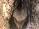 Waterfall Is Basically A Huge Vagina
