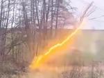 When A Tree Falls On Power Lines
