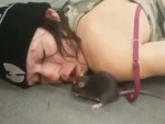 When You Get Way Too Fucked Up
