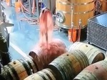 Wine Barrel Pops Like A Cyst
