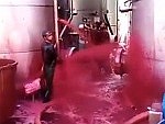 Wine Vat Seems To Have Sprung A Leak
