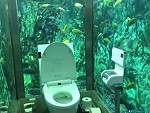 Without A Doubt The Greatest Toilet In The World
