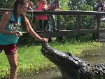 Woman Demonstrates Complete And Insane Control Of A Gator
