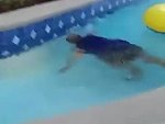 Woman Loses It At The Old Timer Who Cant Swim
